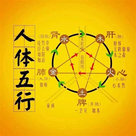 木克土的意思|“五行相克”，分别是什么克什么？